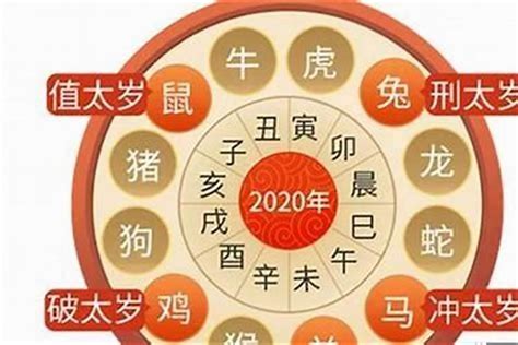 2023虎運勢|属虎人2023年全年运势详解 属虎2023年运势及运程每。